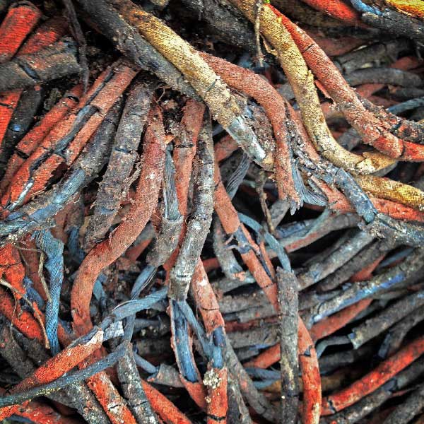 Décadence des derniers fils