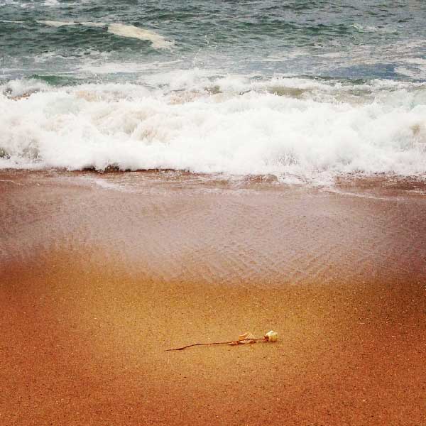 Le dernier Adieu