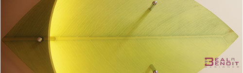feuille lumière design institut