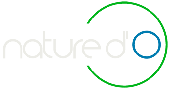 Logo institut naturophatie et de bien être