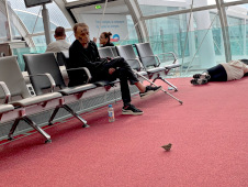Rocker and the sparrow